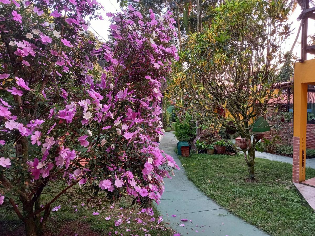 Recanto Das Flores Lofts - Ilha Grande Rj Экстерьер фото